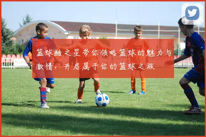 篮球酷之星带你领略篮球的魅力与激情，开启属于你的篮球之旅