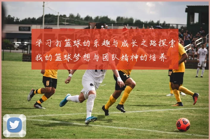 学习打篮球的乐趣与成长之路探索我的篮球梦想与团队精神的培养