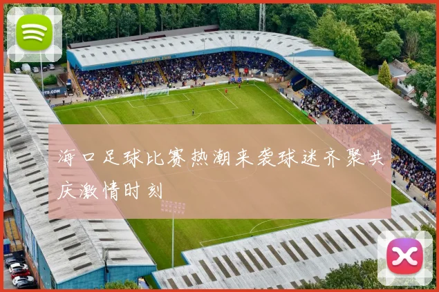 海口足球比赛热潮来袭球迷齐聚共庆激情时刻